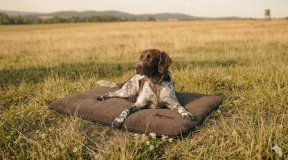 HUBERTUS Hundedecke „ANSITZ“ XXL 95 × 140 cm – Faserpelz, gepolstert & rutschfest