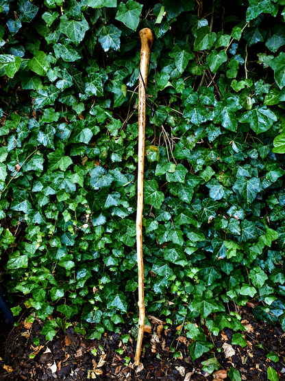 Wanderstock , Pilgerstock , Hirtenstock " Edelweiß " 110cm
