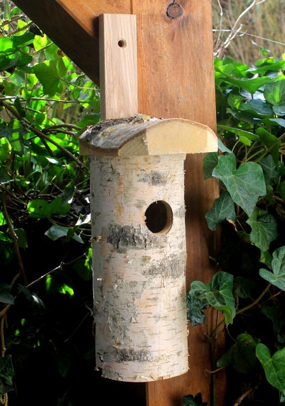 Nistkasten " Birke "Vogelhaus  mit Naturrinde – Nisthilfe für heimische Wildvögel