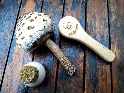 Pilzbürsten Set 2 Stück – Pilzbürste & Championbürste aus Buchenholz mit Naturborsten