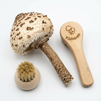 Pilzbürsten Set 2 Stück – Pilzbürste & Championbürste aus Buchenholz mit Naturborsten