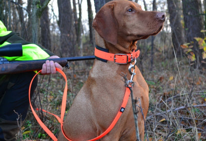 Hunde-Schweißhalsung Signalorange mit Comfort-Einlage – Robust & Gepolstert für Jagd und Nachsuche