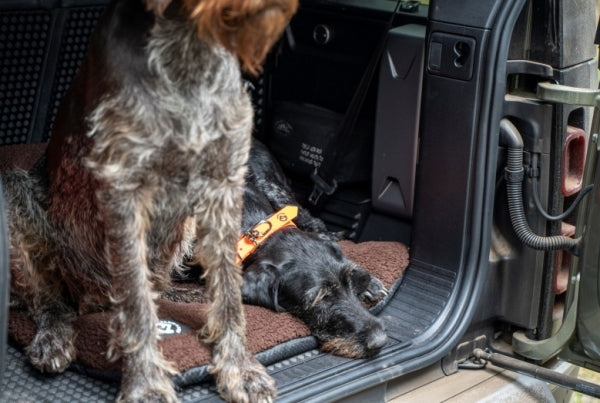 Hundedecke „Faserpelz“ – warme & rutschfeste Thermodecke für Hunde
