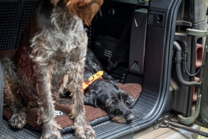 Hundedecke „Faserpelz“ – warme & rutschfeste Thermodecke für Hunde