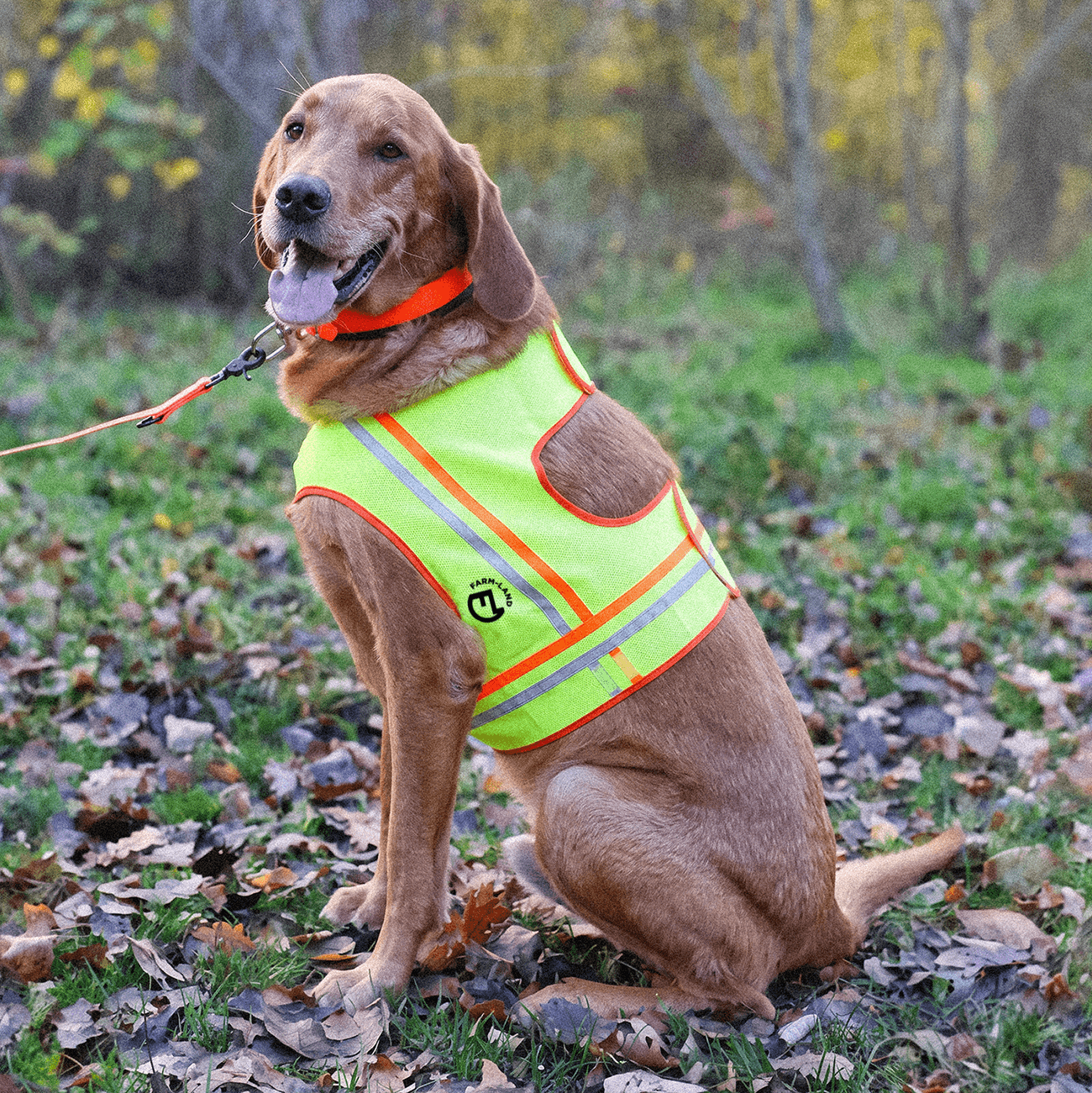 Hundeweste „Reflektor“ – reflektierende Signalweste für Jagd & Outdoor