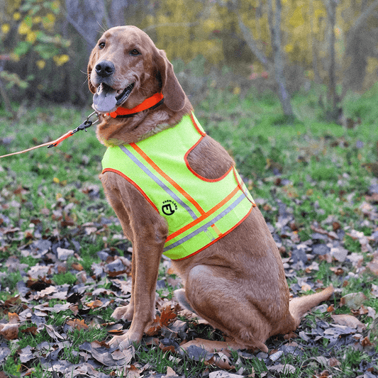 Hundeweste „Reflektor“ – reflektierende Signalweste für Jagd & Outdoor