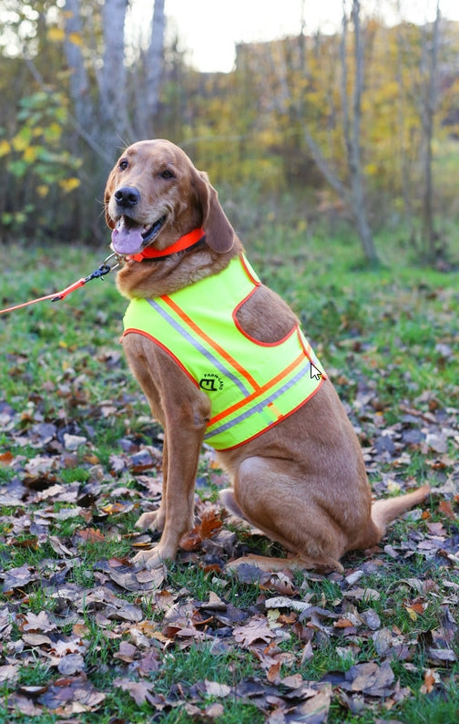 Hundeweste „Reflektor“ – reflektierende Signalweste für Jagd & Outdoor