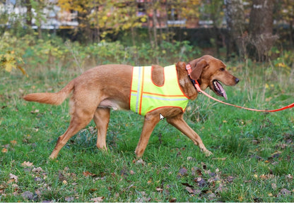 Hundeweste „Reflektor“ – reflektierende Signalweste für Jagd & Outdoor