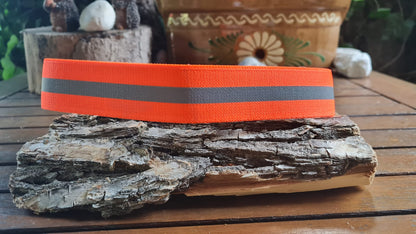 Hunde Signalband , Jagdhunde Warnhalsung " Reflektor "