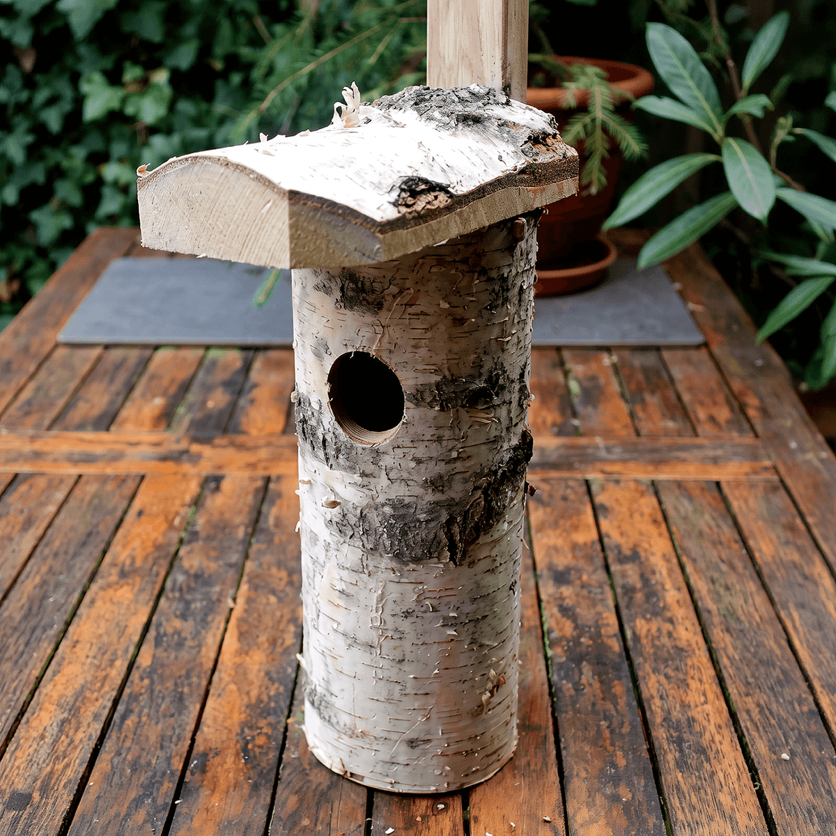 Nistkasten " Birke "Vogelhaus  mit Naturrinde – Nisthilfe für heimische Wildvögel