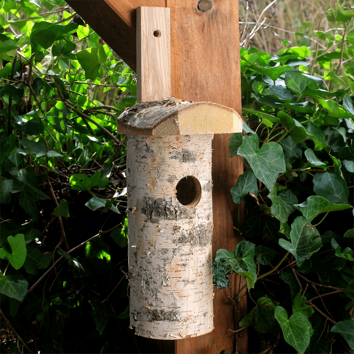 Nistkasten " Birke "Vogelhaus  mit Naturrinde – Nisthilfe für heimische Wildvögel