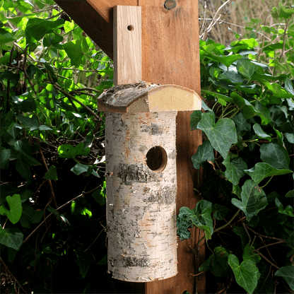 Nistkasten " Birke "Vogelhaus  mit Naturrinde – Nisthilfe für heimische Wildvögel