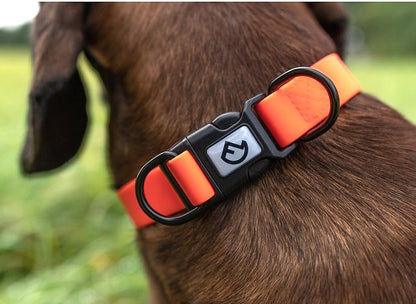 Signal Hundehalsband mit Schnellverschluss – Verstellbar in Signalorange ⭐