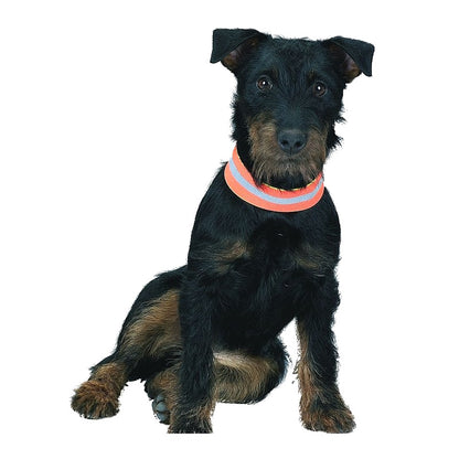 Hunde-Signalband Orange/Neongelb – Reflektierend, Sichtbar & Sicher für Spaziergänge und Outdoor