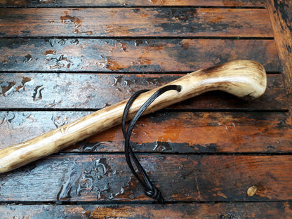 Wanderstock , Pilgerstock , Hirtenstock " Edelweiß " 110cm
