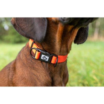 Signal Hundehalsband mit Schnellverschluss – Verstellbar in Signalorange ⭐