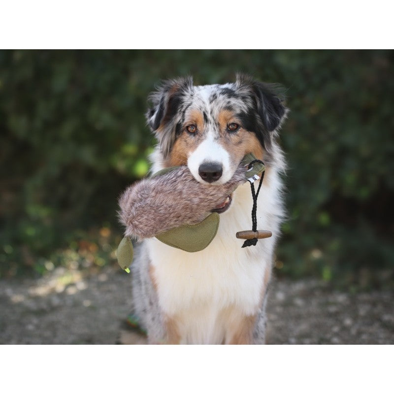 Dummy Ente mit Fell – Schwimmfähiger Apportierdummy für Hunde, 31 cm, 300 g
