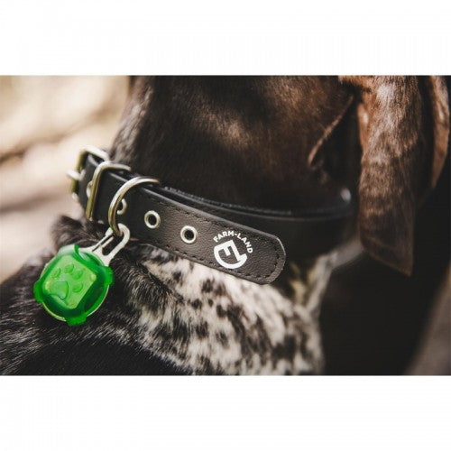 LED Anhänger für Hunde Rot oder Grün  – 3 Leuchtmodi – Halsband Sicherheitslicht