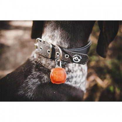 LED Anhänger für Hunde Rot oder Grün  – 3 Leuchtmodi – Halsband Sicherheitslicht