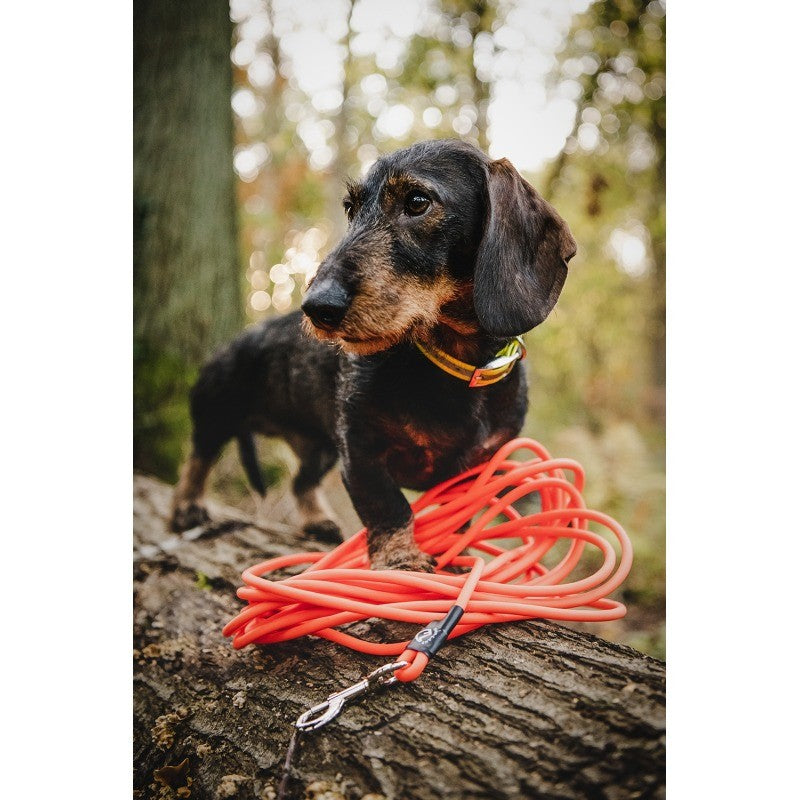 Die Signal Suchleine Profi 10 m – Robuste Nylon-Schleppleine für Hundetraining, Hundesport & Revier