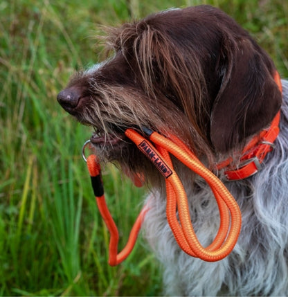 Jagdleine aus Nylon – Verstellbare Führleine mit Halsung für Jagd & Training