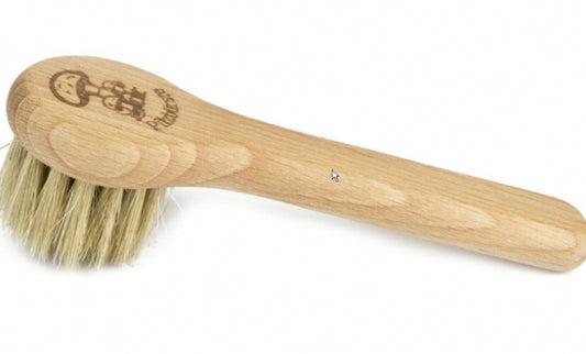 Pilzbürsten Set 2 Stück – Pilzbürste & Championbürste aus Buchenholz mit Naturborsten