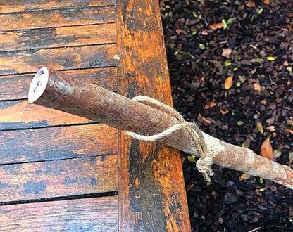Hirtenstock , Wanderstock „Kompass“ – Rustikaler Hirtenstock mit Naturrinde