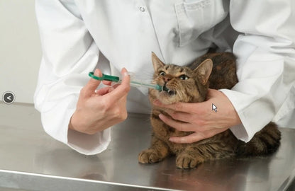 Tabletteneingeber 2 Stück für Hunde und katzen