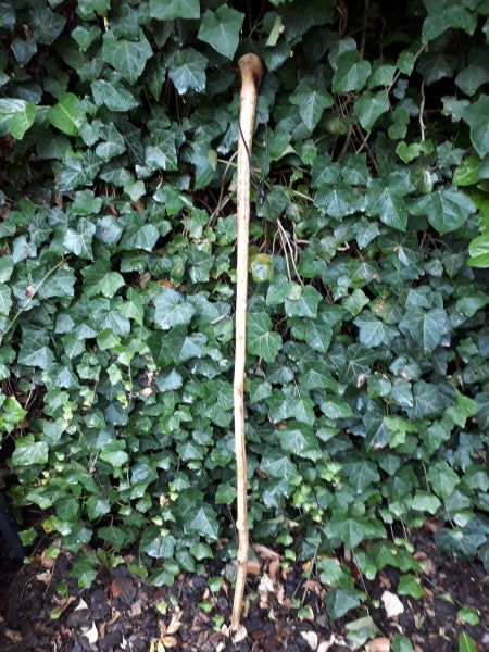 Wanderstock , Pilgerstock , Hirtenstock " Edelweiß " 110cm