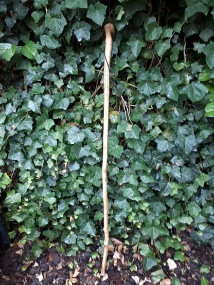 Wanderstock , Pilgerstock , Hirtenstock " Edelweiß " 110cm